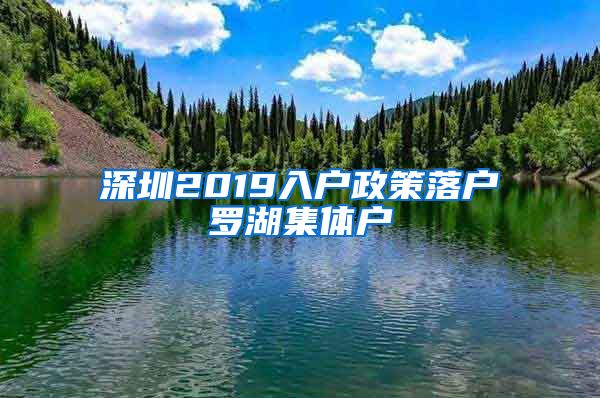 深圳2019入户政策落户罗湖集体户