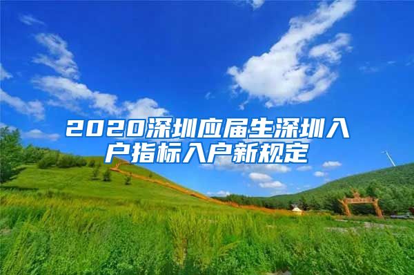 2020深圳应届生深圳入户指标入户新规定