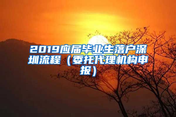 2019应届毕业生落户深圳流程（委托代理机构申报）