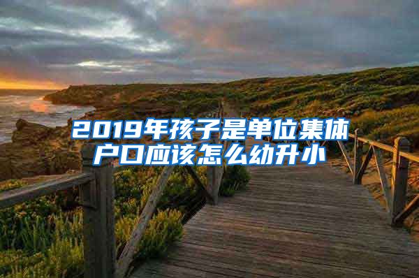 2019年孩子是单位集体户口应该怎么幼升小