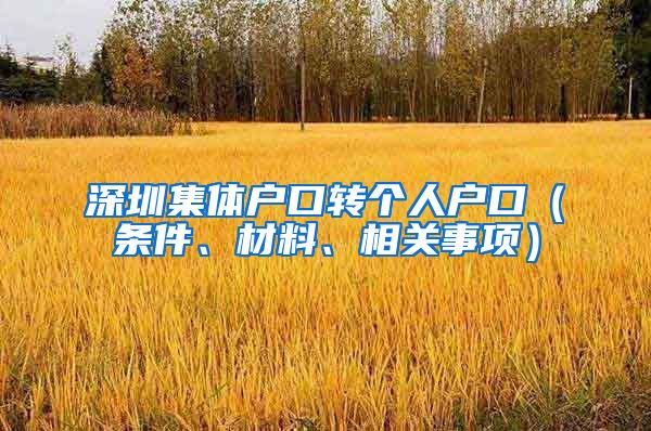 深圳集体户口转个人户口（条件、材料、相关事项）