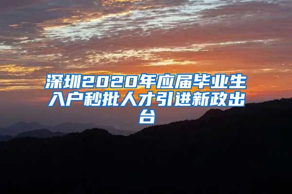 深圳2020年应届毕业生入户秒批人才引进新政出台