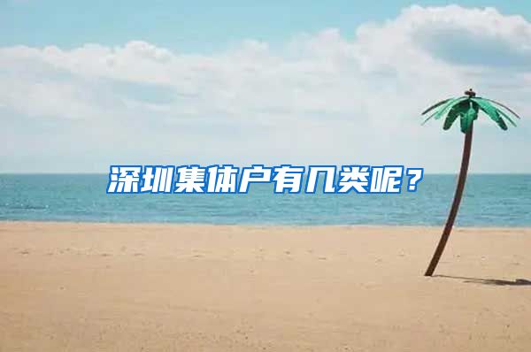 深圳集体户有几类呢？