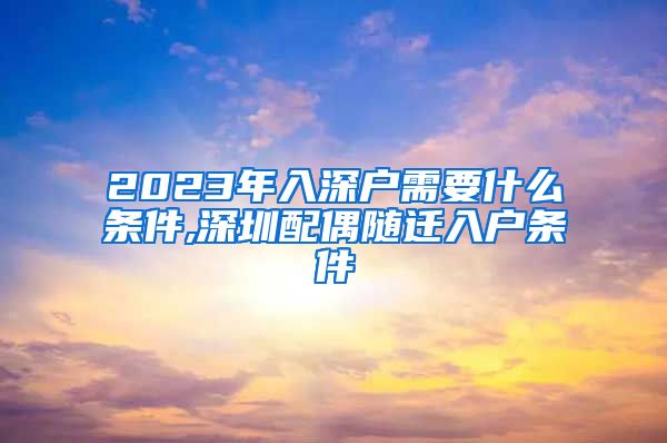 2023年入深户需要什么条件,深圳配偶随迁入户条件
