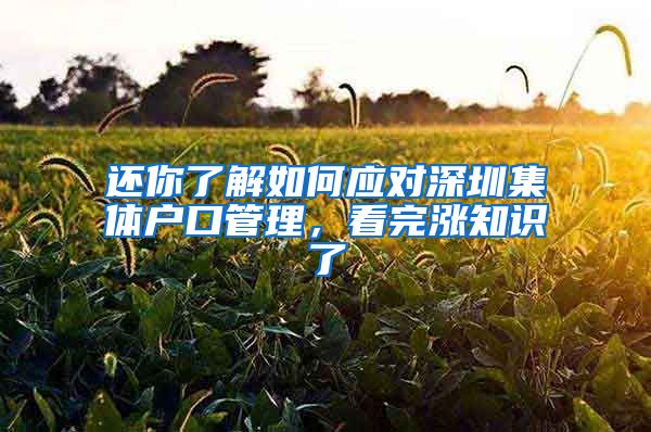 还你了解如何应对深圳集体户口管理，看完涨知识了