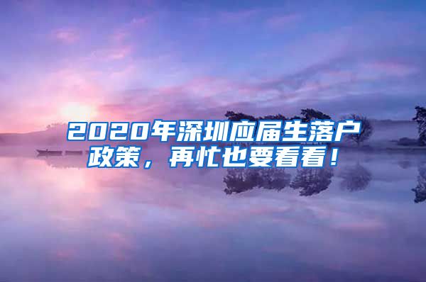 2020年深圳应届生落户政策，再忙也要看看！