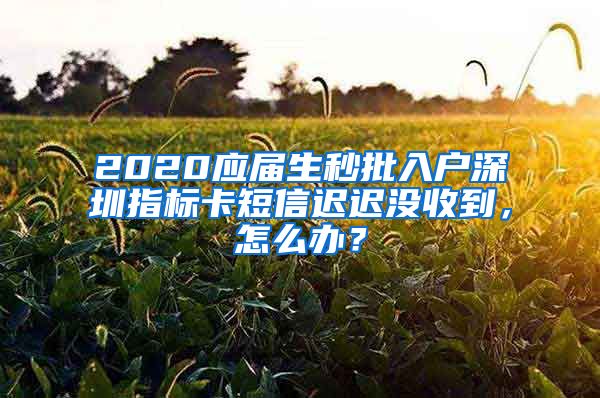 2020应届生秒批入户深圳指标卡短信迟迟没收到，怎么办？