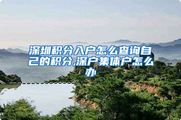 深圳积分入户怎么查询自己的积分,深户集体户怎么办