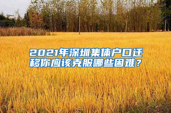 2021年深圳集体户口迁移你应该克服哪些困难？