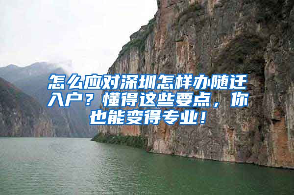 怎么应对深圳怎样办随迁入户？懂得这些要点，你也能变得专业！