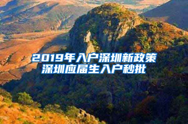 2019年入户深圳新政策深圳应届生入户秒批