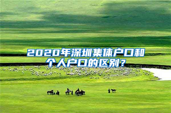 2020年深圳集体户口和个人户口的区别？
