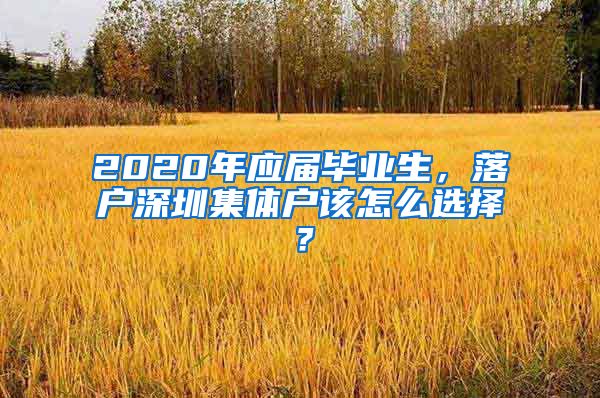 2020年应届毕业生，落户深圳集体户该怎么选择？