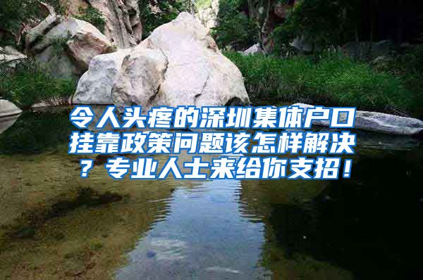 令人头疼的深圳集体户口挂靠政策问题该怎样解决？专业人士来给你支招！