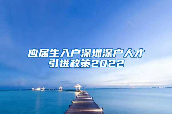 应届生入户深圳深户人才引进政策2022