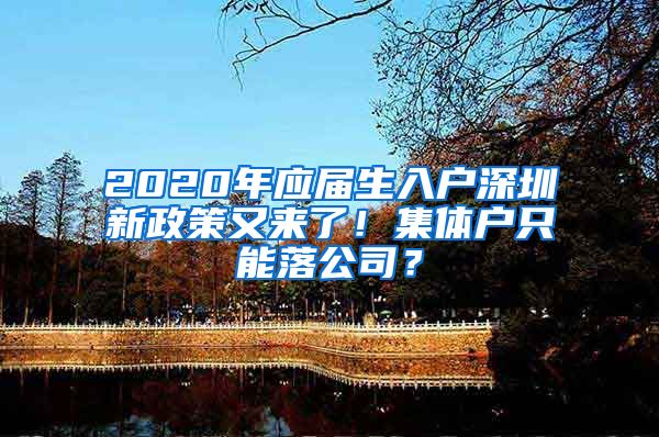 2020年应届生入户深圳新政策又来了！集体户只能落公司？