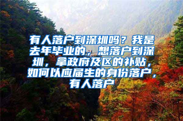 有人落户到深圳吗？我是去年毕业的，想落户到深圳，拿政府及区的补贴，如何以应届生的身份落户，有人落户