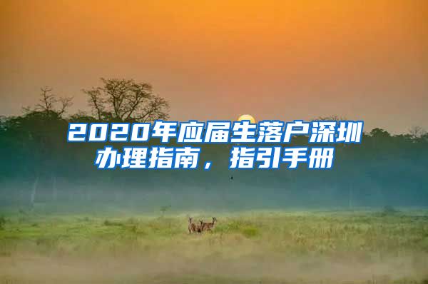 2020年应届生落户深圳办理指南，指引手册