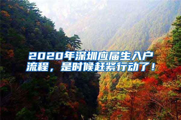 2020年深圳应届生入户流程，是时候赶紧行动了！