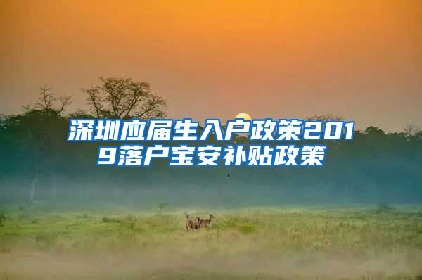 深圳应届生入户政策2019落户宝安补贴政策