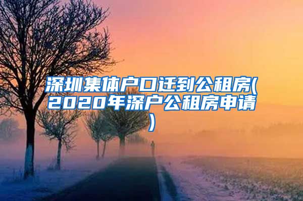 深圳集体户口迁到公租房(2020年深户公租房申请)