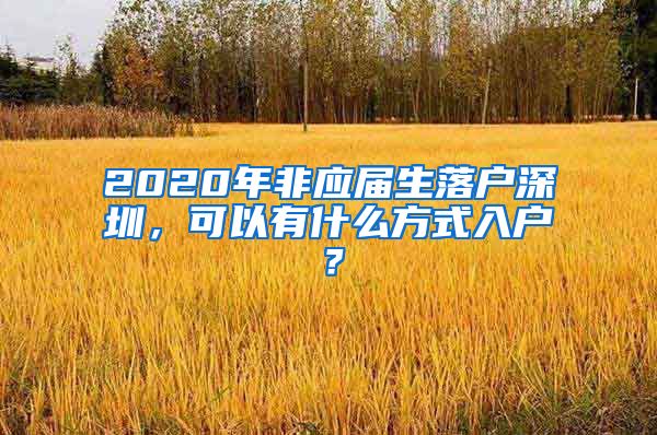 2020年非应届生落户深圳，可以有什么方式入户？