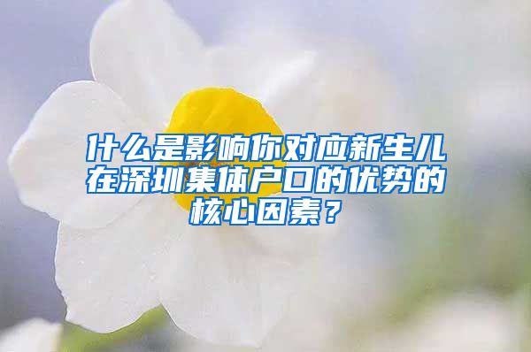 什么是影响你对应新生儿在深圳集体户口的优势的核心因素？