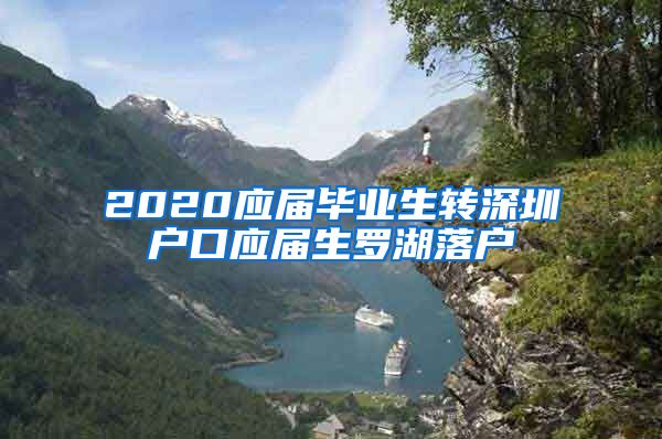 2020应届毕业生转深圳户口应届生罗湖落户