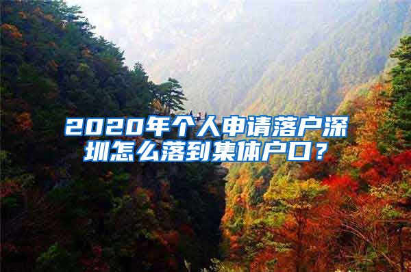 2020年个人申请落户深圳怎么落到集体户口？