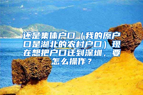 还是集体户口（我的原户口是湖北的农村户口）现在想把户口迁到深圳，要怎么操作？