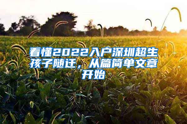 看懂2022入户深圳超生孩子随迁，从篇简单文章开始