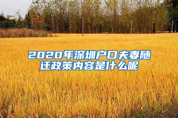 2020年深圳户口夫妻随迁政策内容是什么呢