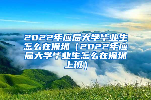 2022年应届大学毕业生怎么在深圳（2022年应届大学毕业生怎么在深圳上班）