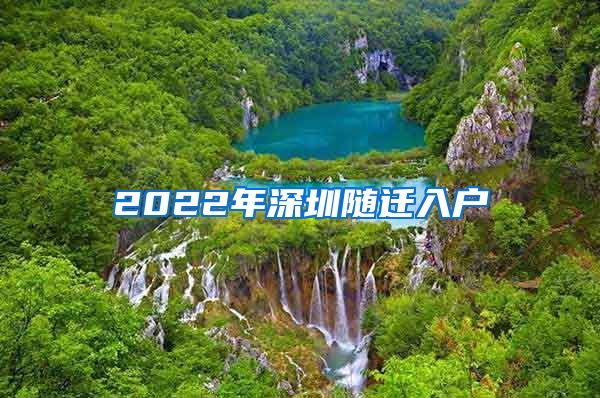 2022年深圳随迁入户