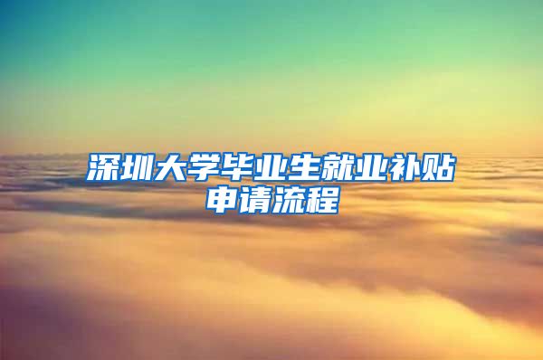 深圳大学毕业生就业补贴申请流程