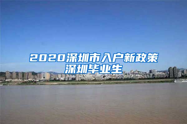2020深圳市入户新政策深圳毕业生