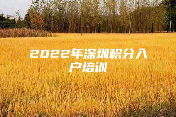 2022年深圳积分入户培训