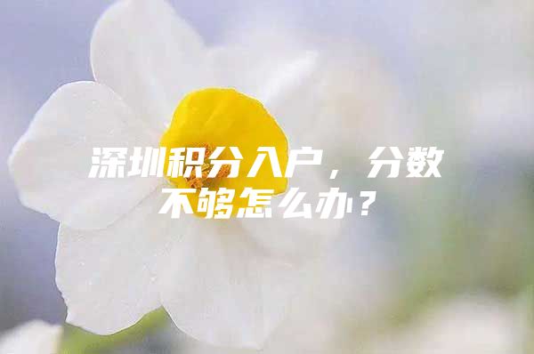 深圳积分入户，分数不够怎么办？