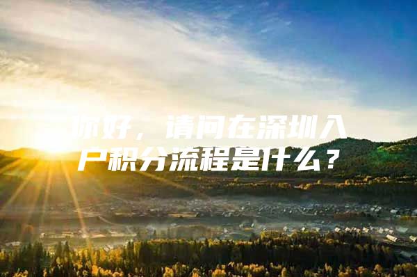 你好，请问在深圳入户积分流程是什么？