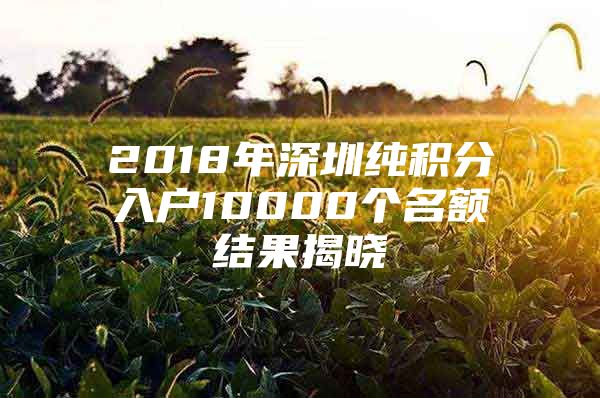 2018年深圳纯积分入户10000个名额结果揭晓