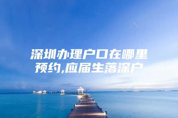 深圳办理户口在哪里预约,应届生落深户