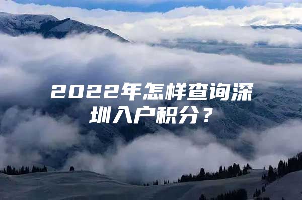 2022年怎样查询深圳入户积分？