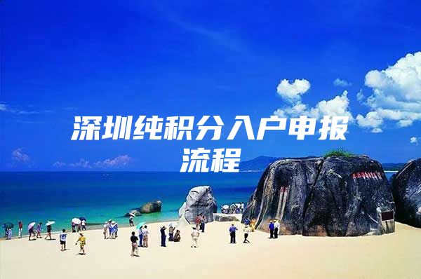 深圳纯积分入户申报流程