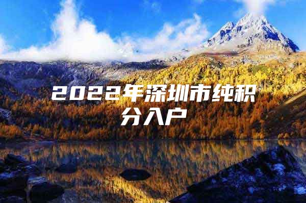 2022年深圳市纯积分入户