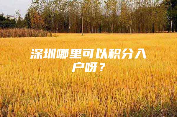 深圳哪里可以积分入户呀？