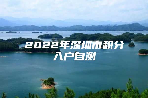 2022年深圳市积分入户自测