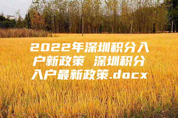 2022年深圳积分入户新政策 深圳积分入户最新政策.docx