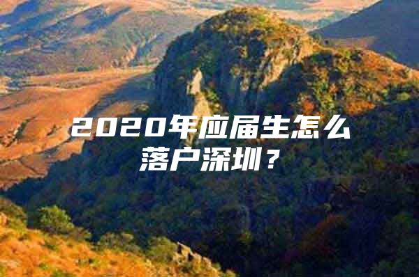 2020年应届生怎么落户深圳？