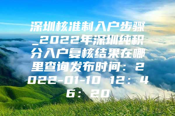 深圳核准制入户步骤_2022年深圳纯积分入户复核结果在哪里查询发布时间：2022-01-10 12：46：20