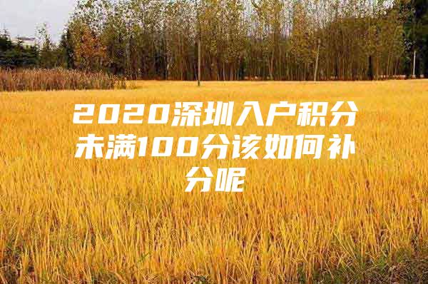 2020深圳入户积分未满100分该如何补分呢